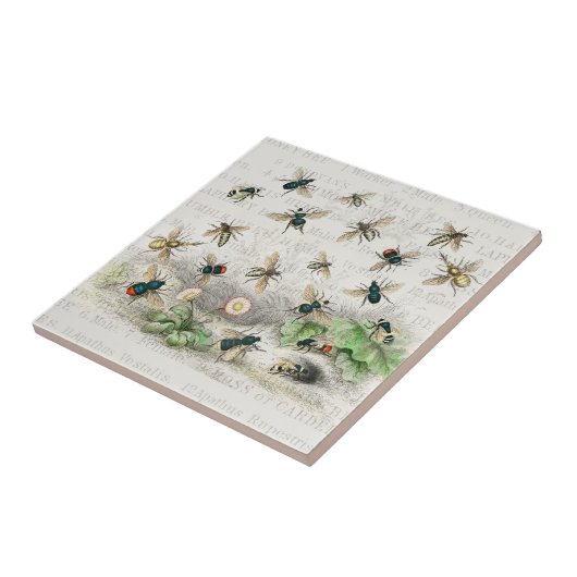 ビーハニーワーカークイーンビーズアンティーク タイル (側面)