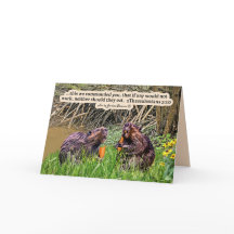 ビーバーかわいらし聖なる書物、 経典2テサロニケ3:10