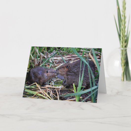 ビーバーのキスをする写真 カード (正面)