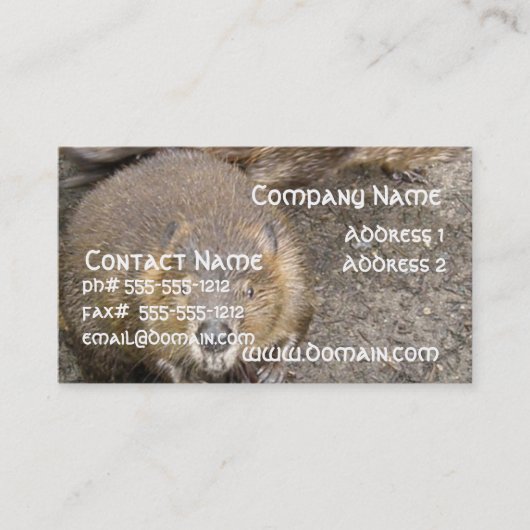 ビーバーのデザインの名刺 名刺 (正面)