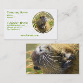 ビーバーの写真の名刺 名刺 (正面/裏面)