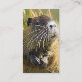 ビーバーの写真の名刺 名刺 (裏面)