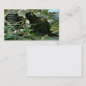 ビーバーの名刺 名刺 (正面/裏面)