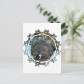 ビーバーの生息地 ポストカード (スタンド正面)