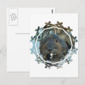 ビーバーの生息地 ポストカード (正面/裏面)