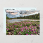 ビーバークリーク川アラスカに沿った矮性暖炉 ポストカード (正面/裏面)