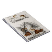 ビーバージェルボア ノートブック (右側)