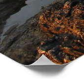 ビーバーテールライトハウスジャムスタウンロードアイランド ポスター (角)