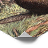 ビーバーバイルイ・サージェント、ヴィンテージ野生動物 ポスター (角)