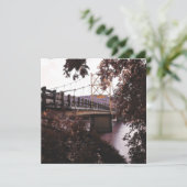 ビーバーブリッジ 招待状 (スタンド正面)