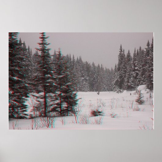 ビーバーポンド ポスター (正面)