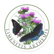 ビーバームに赤まだら紫の蝶