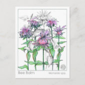 ビーバームマテリアメディカハーブ勉強カード ポストカード (正面)