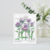 ビーバームマテリアメディカハーブ勉強カード ポストカード (スタンド正面)