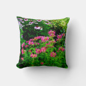 ビーバーム クッション (正面)