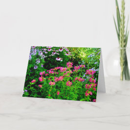 ビーバーム サンキューカード