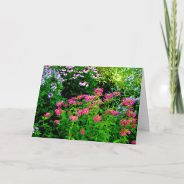 ビーバーム サンキューカード