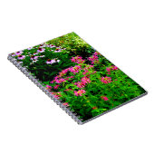 ビーバーム ノートブック (右側)