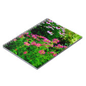 ビーバーム ノートブック (左側)