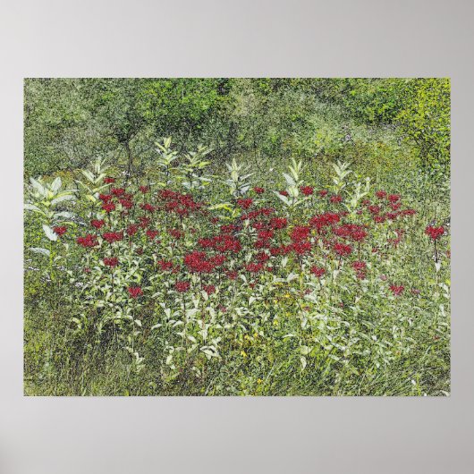 ビーバーム（ベルガモント）威厳があるイン ポスター (正面)