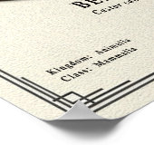 ビーバー動物学シリーズ ポスター (角)