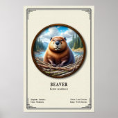 ビーバー動物学シリーズ ポスター (正面)