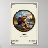 ビーバー動物学シリーズ ポスター (正面)