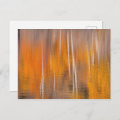 ビーバー池の秋のリフレクション |ウィンスロップ,ワシントン ポストカード (正面/裏面)