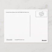 ビーバー湖のカナディアン・ゲーゼ。-ポストカード ポストカード (裏面)