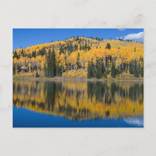 ビーバー湖秋 ポストカード (正面)