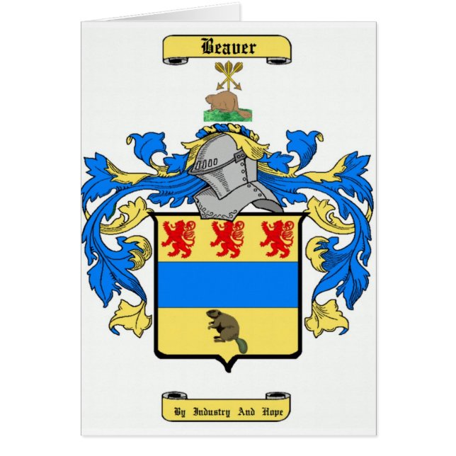 ビーバー (正面)