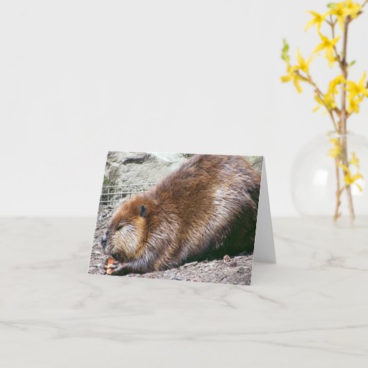 ビーバー カード (黄色い花)