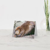 ビーバー カード (正面)