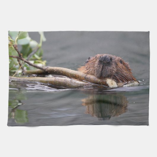 ビーバー キッチンタオル (横)