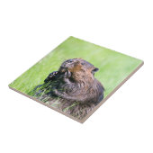 ビーバー タイル (側面)