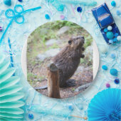 ビーバー ペーパープレート (パーティー)