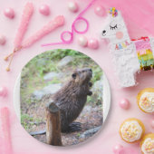 ビーバー ペーパープレート (パーティー)