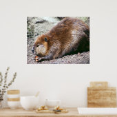 ビーバー ポスター (キッチン)