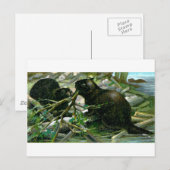 ビーバー ポストカード (正面/裏面)