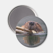 ビーバー マグネット (正面/裏面)