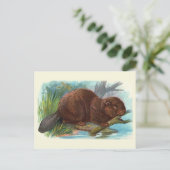 「ビーバー」ヴィンテージイラストレーション ポストカード (スタンド正面)