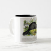 ビーバー、教育イラストレーションのパブ。 Sによって ツートーンマグカップ (正面左)