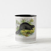 ビーバー、教育イラストレーションのパブ。 Sによって ツートーンマグカップ (中央)