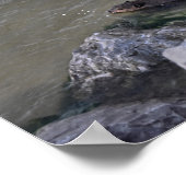 ビーバーin the海、ドーフィン海、アラバマ ポスター (角)