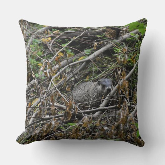 ビーバ忙しー クッション (正面)