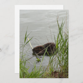 ビーバ忙しー シーズンカード