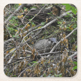 ビーバ忙しー スクエアペーパーコースター