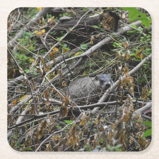 ビーバ忙しー スクエアペーパーコースター (正面)