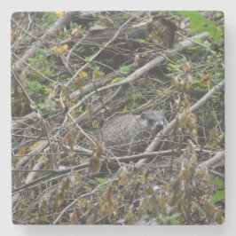 ビーバ忙しー ストーンコースター