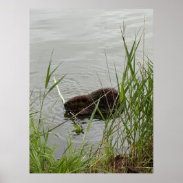 ビーバ忙しー ポスター